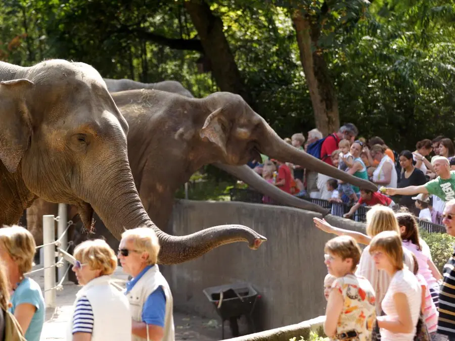Tierpark Hagenbeck - Зоопарк Гагенбека в Гамбурзі