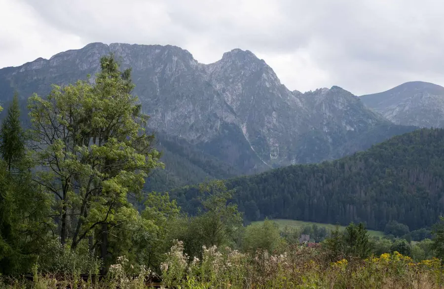 Губалувка вид на горы